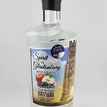 Spirit Of Glastonbury : Apple & Raisin 42%